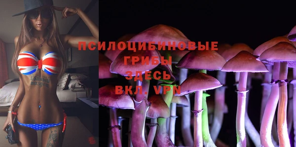 твердый Арсеньев