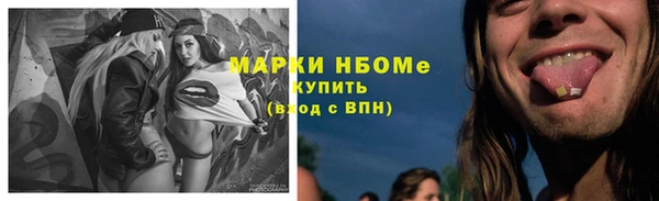 PSILOCYBIN Аркадак
