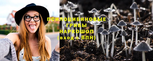 СК Армянск