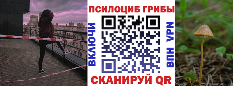 сайты даркнета клад  blacksprut онион  Чернушка  Псилоцибиновые грибы прущие грибы 